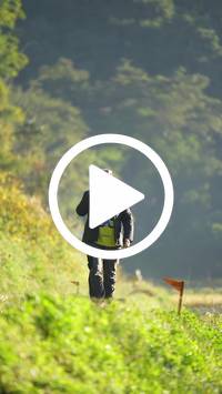 BIB:  <button type="button" onclick="openModal(26570898)" class="btn btn-primary btn-sm float-right" data-toggle="modal" data-target=".modal-high-quality">
                <i class="fa fa-download"></i> Download
                </button>